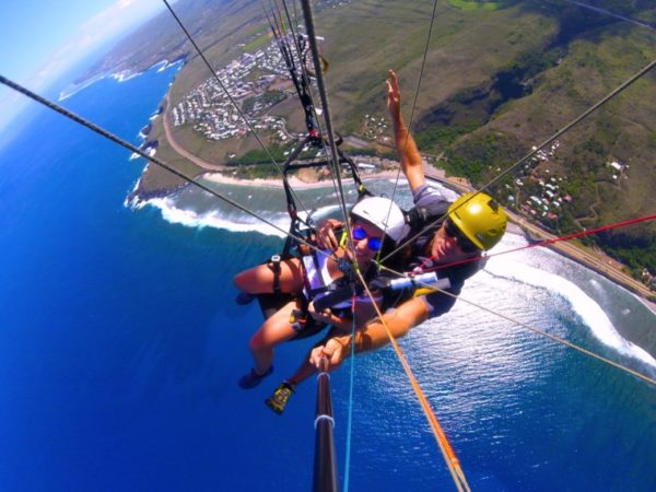 Discovering paragliding whales from Saint-Leu
